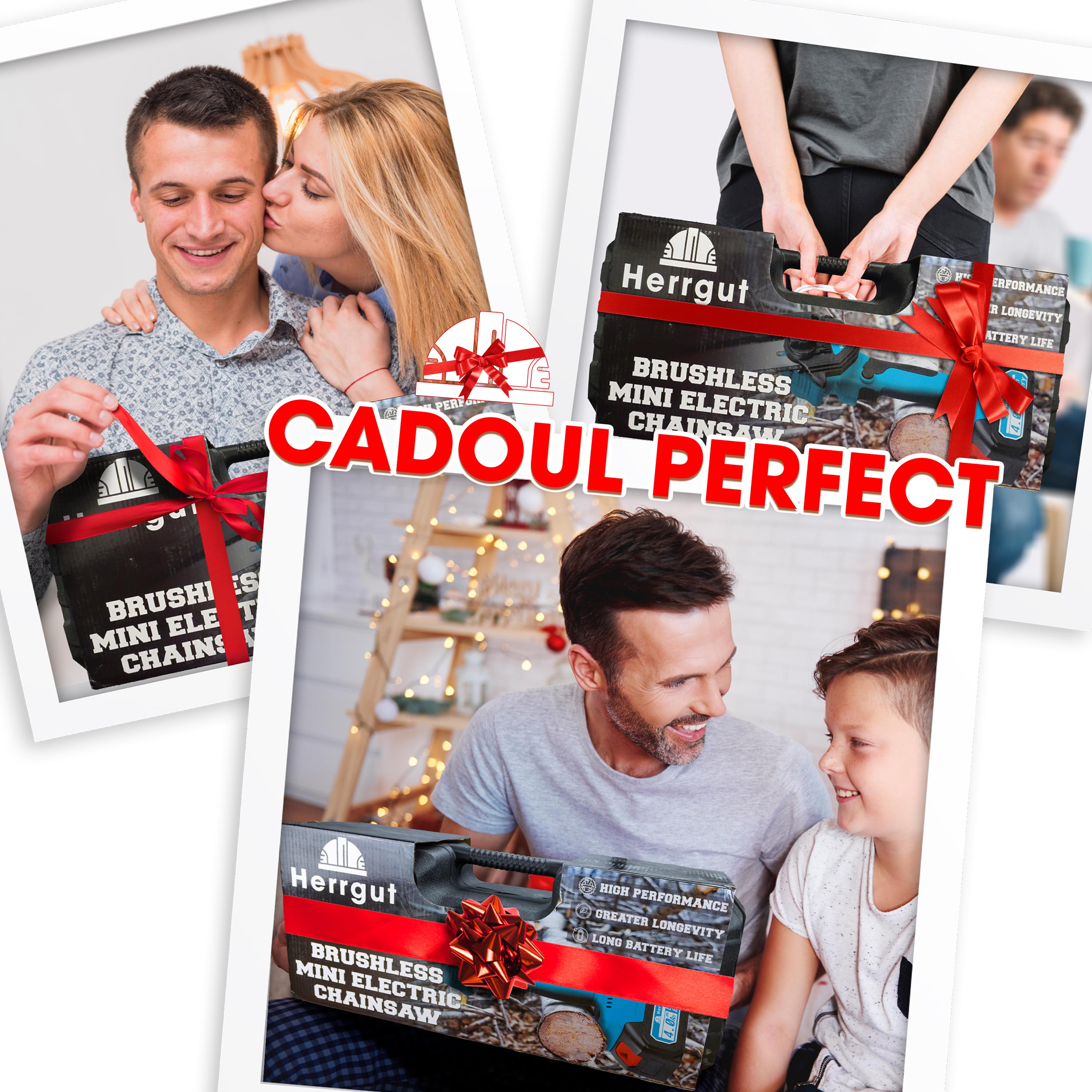 Mini fierastrau electric cu lant Herrgut, motor fara perii, 8 inch, 1 x baterie 4000 mAh, lant extra de 6 inch, baterie extra 2000 mAh fast charging, pe acumulator, cu sistem de lubrifiere, albastru/negru, (mini drujba)